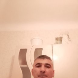 ���� ����, ������, 49 ��� - ��������� 19 ����� 2024