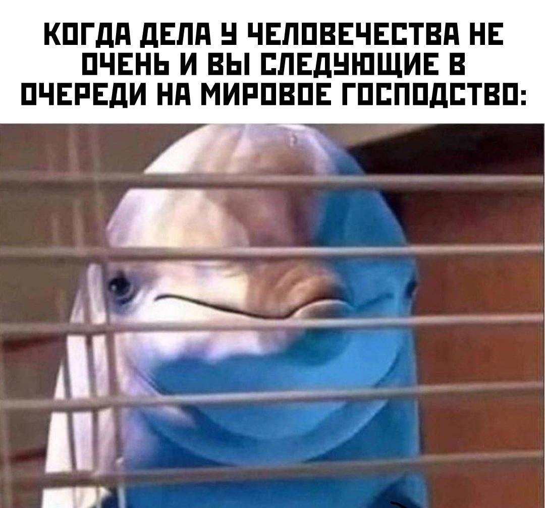 - 3  2025  10:32