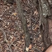 , 34 , 