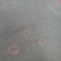 ����������, �����������, 55 ���