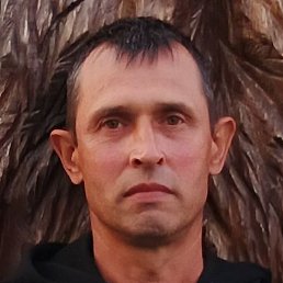 ������, ������, 44 ����