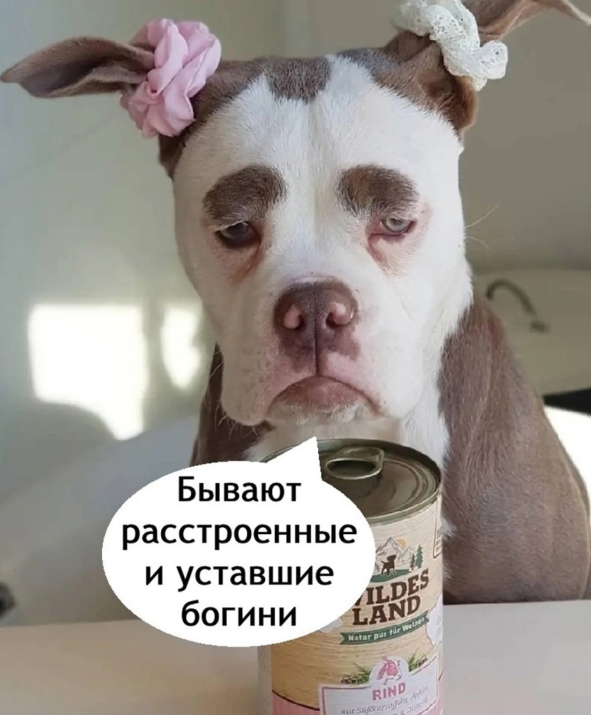    - 2