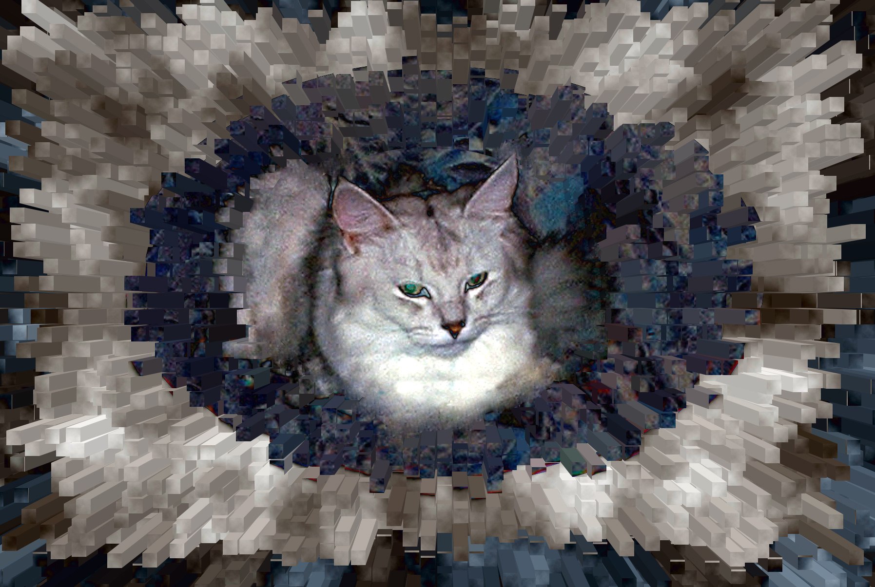 Serge - 13  2025  09:34