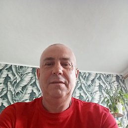 , 49, 