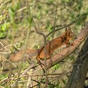 ���� Yuriy, ��������, 48 ��� - ��������� 6 ��� 2025 � ������ �����