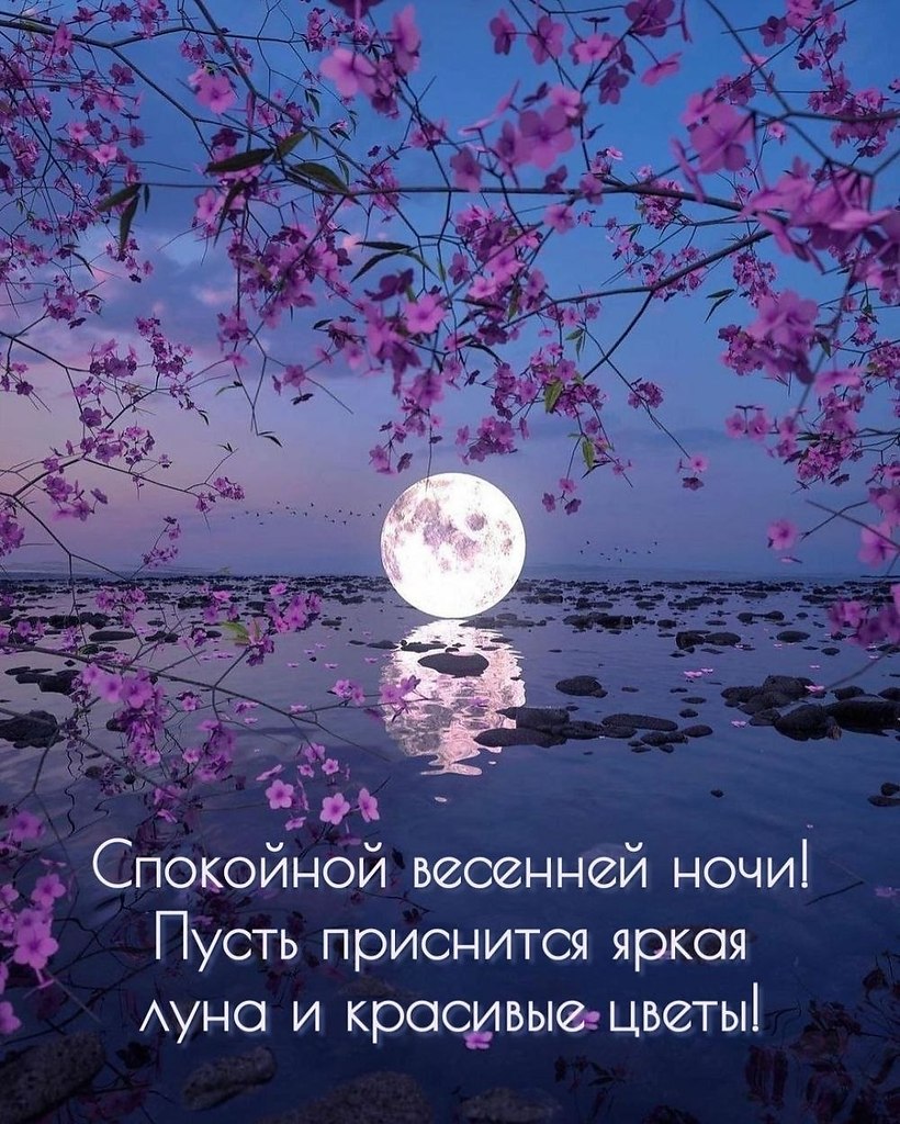   ,    . - 11  2024  21:09 - 3