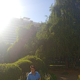 �����, ���������, 61 ���