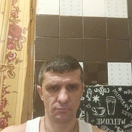 �����, 41 ���, �����-���������