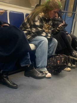 �����������