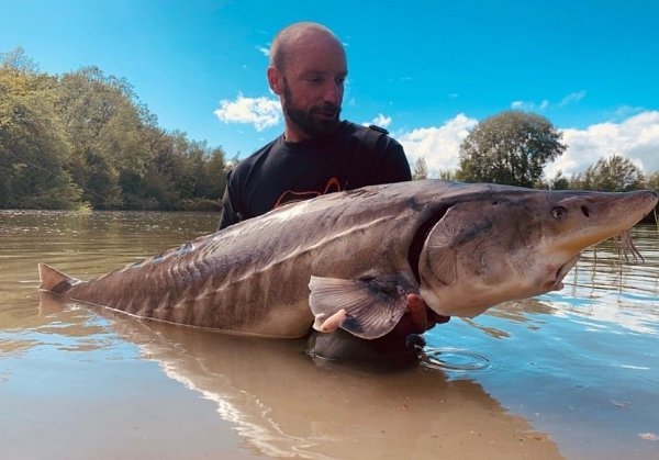 : 1500       !      . 1,5    ... - 2