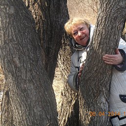 ����, �����������, 71 ���