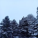  ,  -  31  2024   