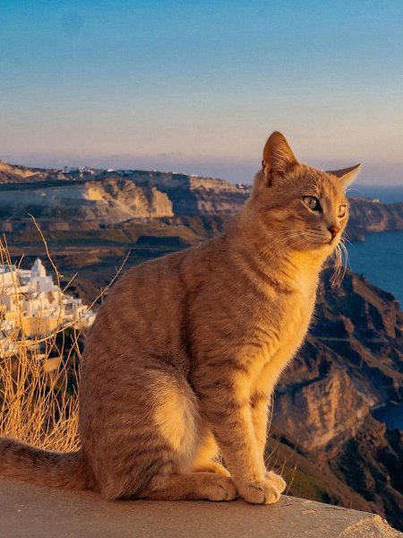 ������ �� ��������� ����� ���� ������ ����� - 4