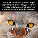 ���� ������, �������� - ��������� 17 ���� 2025 � ������ ���� ����������