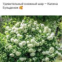  ,  -  5  2025    