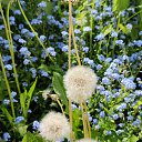 ���� ����, ������, 51 ��� - ��������� 13 ������� 2024 � ������ ���� ����������