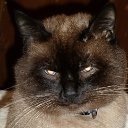 ���� �������, ������, 55 ��� - ��������� 19 ������ 2025 � ������ ������� ���