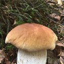 ���� ����, �����������, 67 ��� - ��������� 5 ������� 2024 � ������ ���� ����������