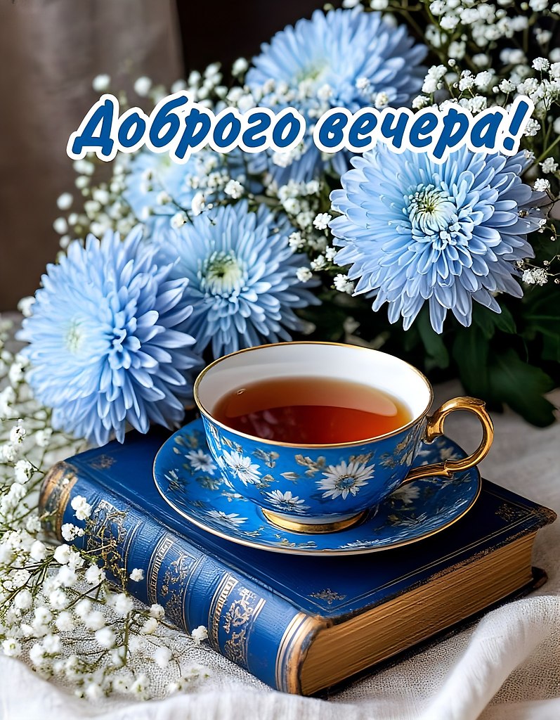   ,    . - 17  2025  17:37