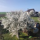 ���� ��������, �����������, 55 ��� - ��������� 20 ������ 2026 � ������ �������