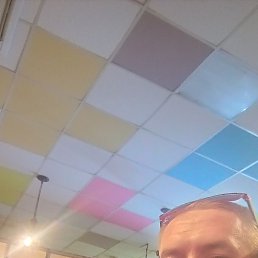 ����������, 28 ���, �������