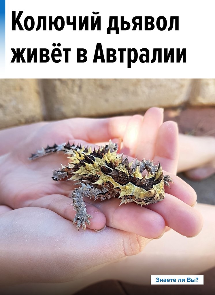 � �������� ��������� ����� �����, �� �� ������� ������. � ���� ��� ��������� ������ �� ������: �� ...