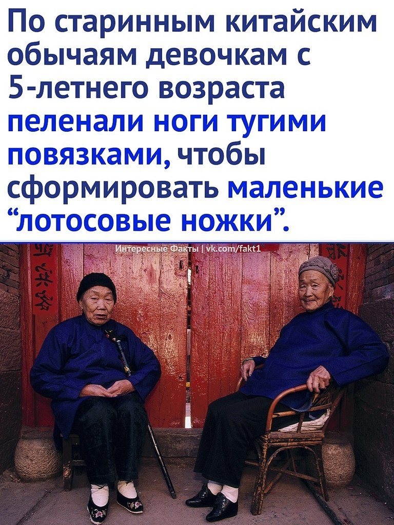  - 11  2023  07:17
