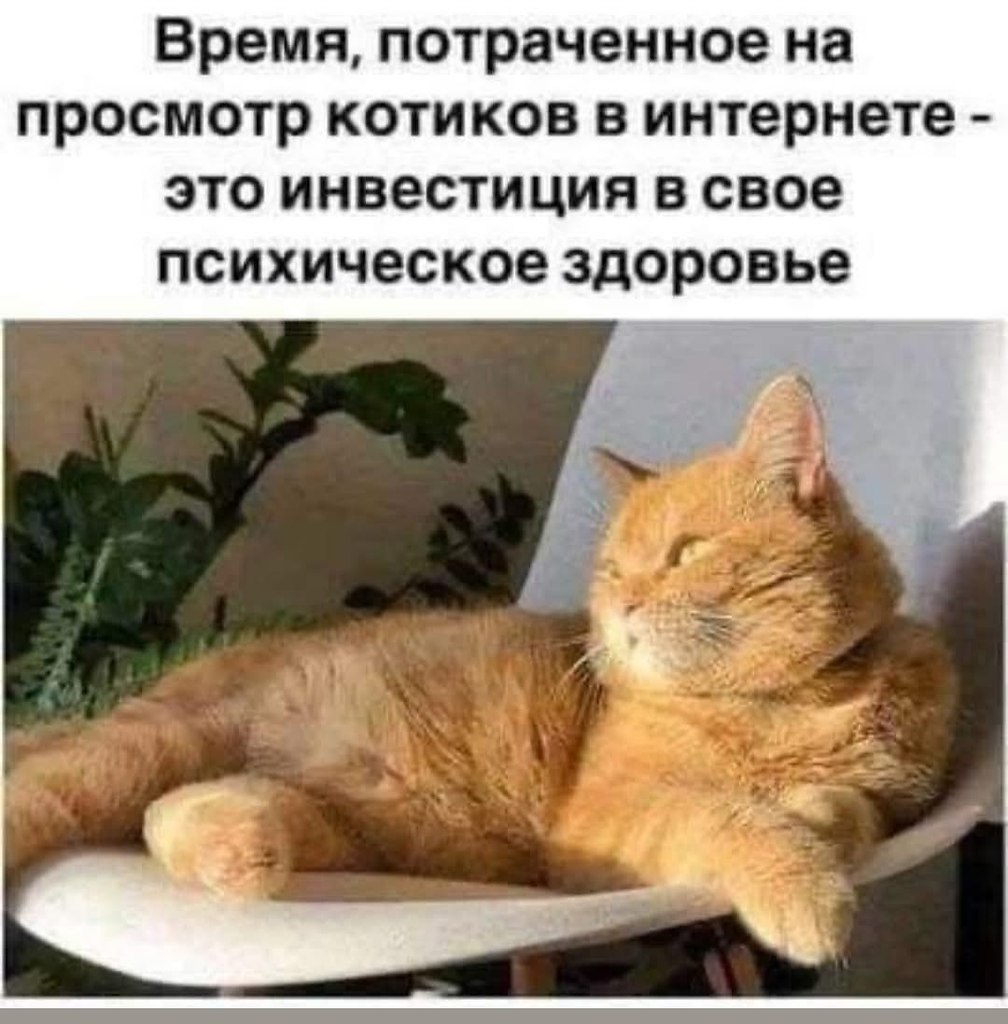! ))
