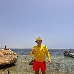 , 53, 