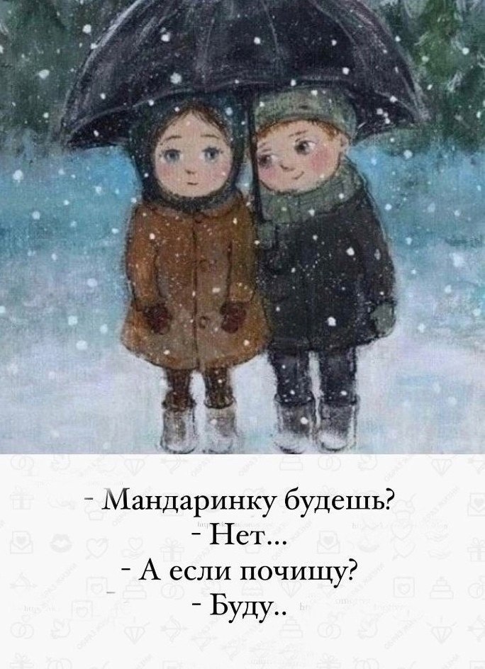   -  ,  -  - 13  2024  13:00