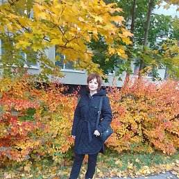 ����, �����-���������, 49 ���