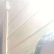 , 55 , 