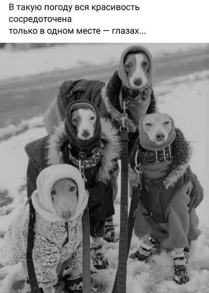 ������������� ���� - 28 ������� 2024 � 20:54