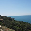  , -, 36  -  29  2025