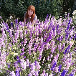 �����, ���