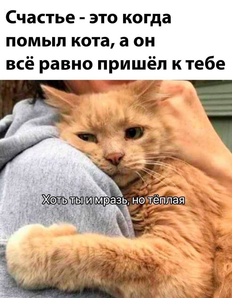 ��� - 3 ��� 2024 � 13:07