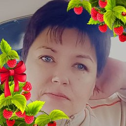 ���, 44 ����, ������