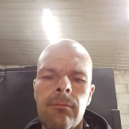 �������, 39 ���, �������