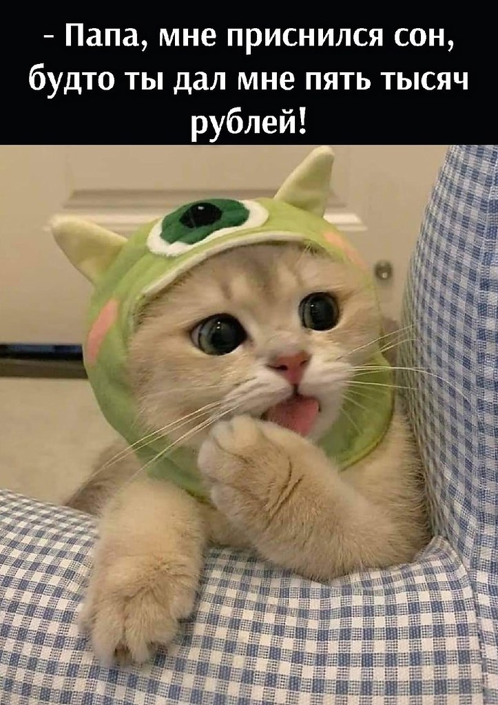       - 17  2024  15:53