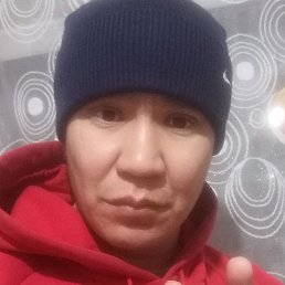 ������, ���������, 41 ���