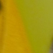 ���, 43 ����, ����