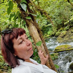 �����, �������, 51 ���