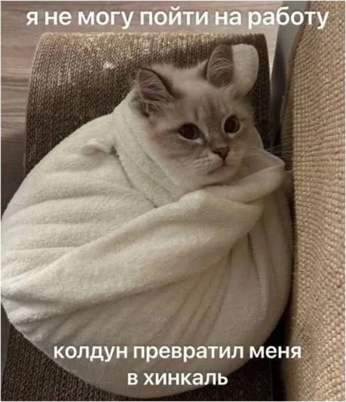 Прогульщиков попросят «на выход».В Госдуме призвали ужесточить трудовое законодательство в отношении ...