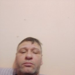 ����, 45 ���, �����