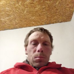 , 37, 