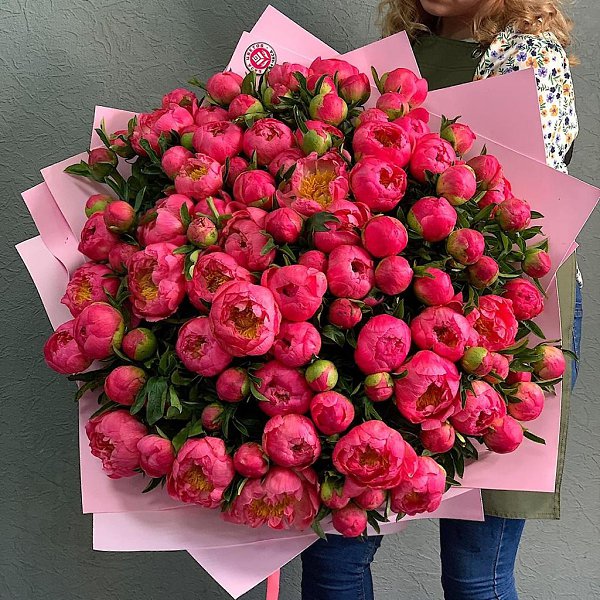 :) Букет из 101 пиона.Это для Оксанки,которая не верит в новые,выведенные сорта! А зря!