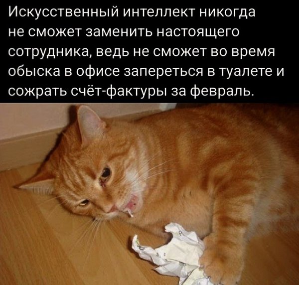   - 15  2024  02:18