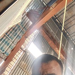 , 37, 