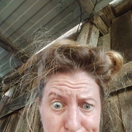 , 37, 