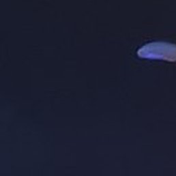 Tato, �������, 40 ���